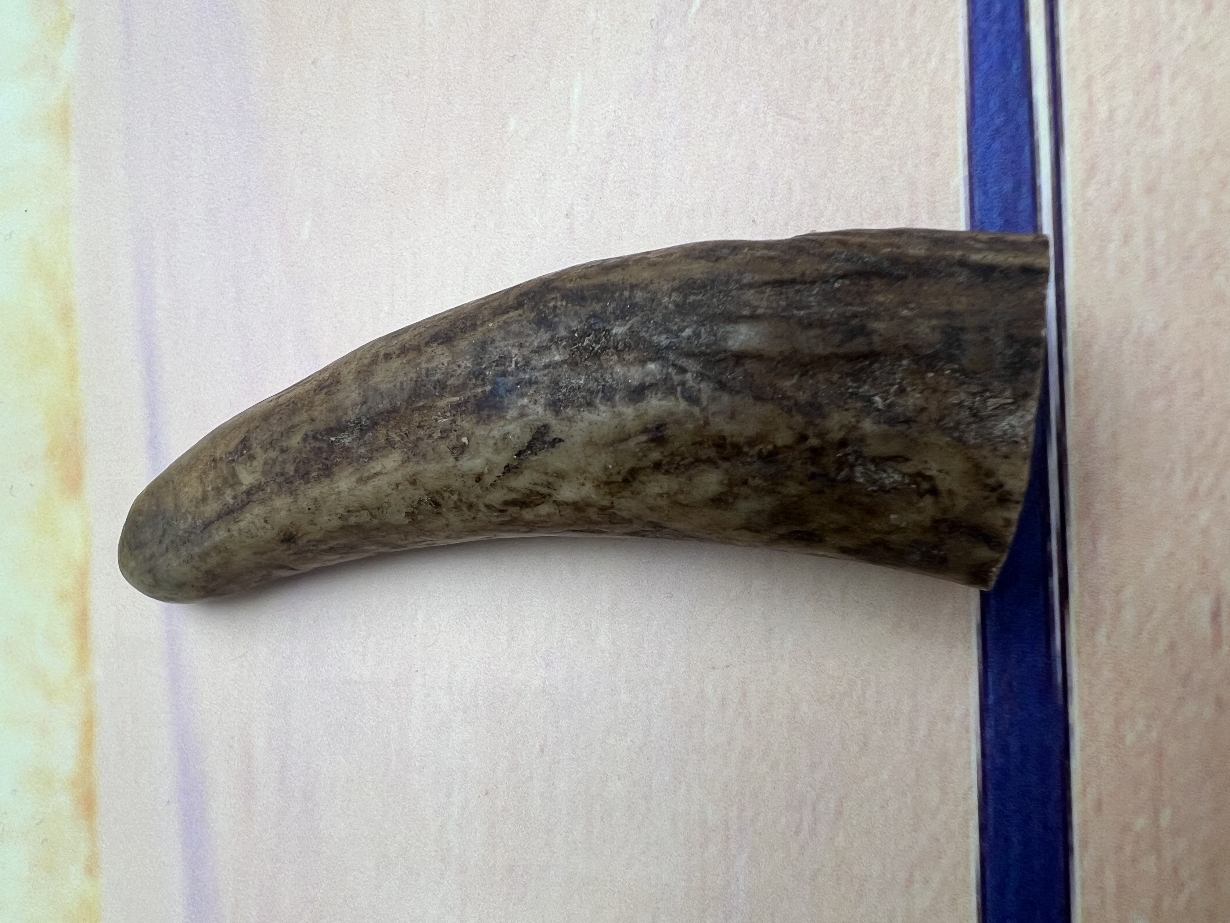 鹿角尖主播改价手工