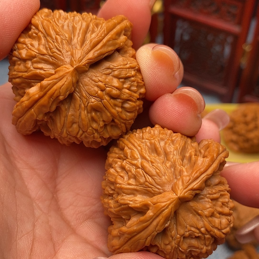 把件文玩核桃45.5全品粗棱毕业白狮子
