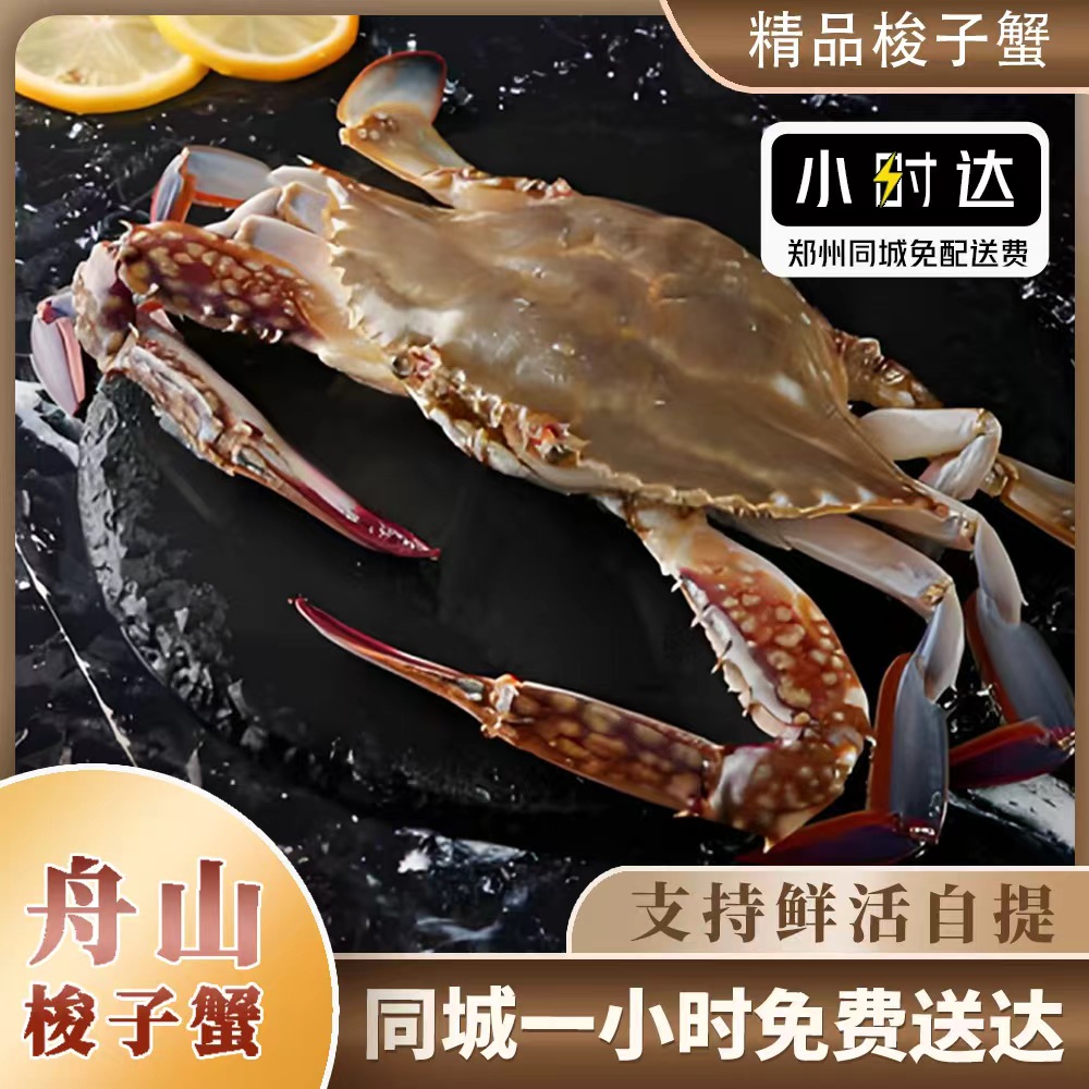 【金葉甄选】鲜活舟山野生（公母混发）梭子蟹2两左右/只 88两斤 小时达【保鲜不保活】