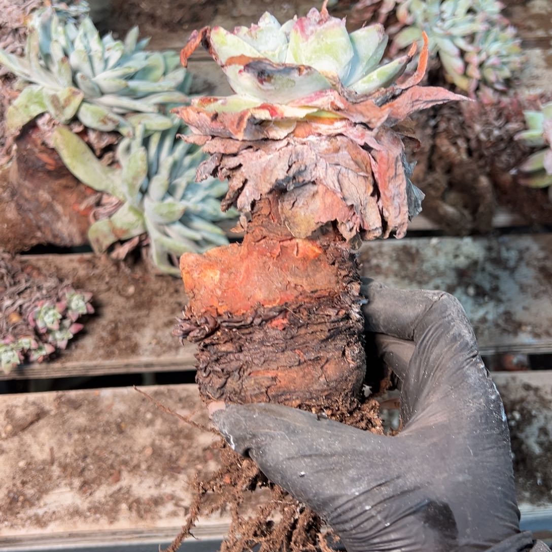 8937哈哈哈哈哈哈哈哈