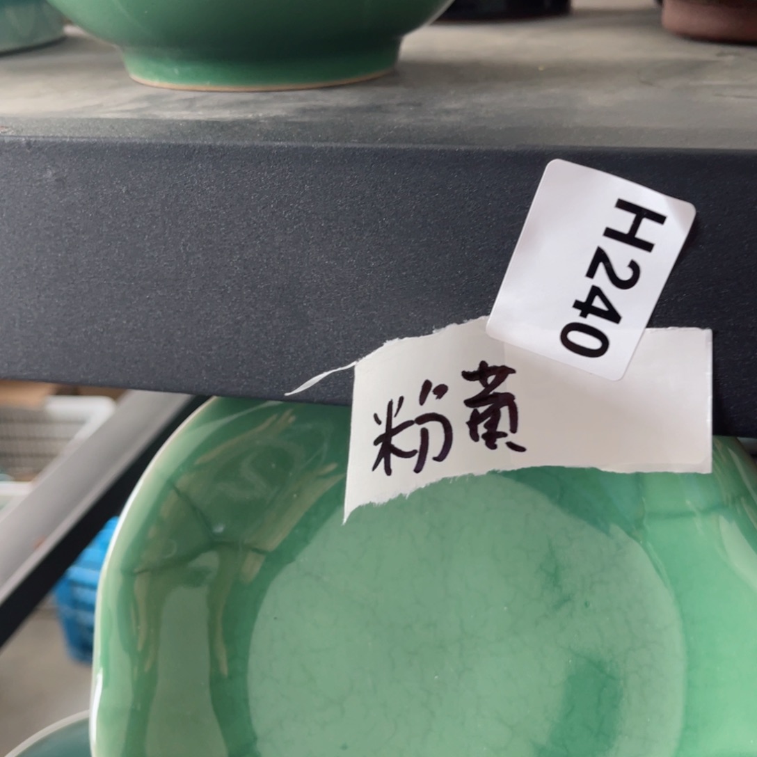 碗哈哈哈哈哈哈哈哈哈姐姐