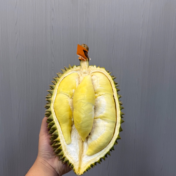 黄记・泰国巴真武里府老树空运巴真金枕榴莲 1颗装