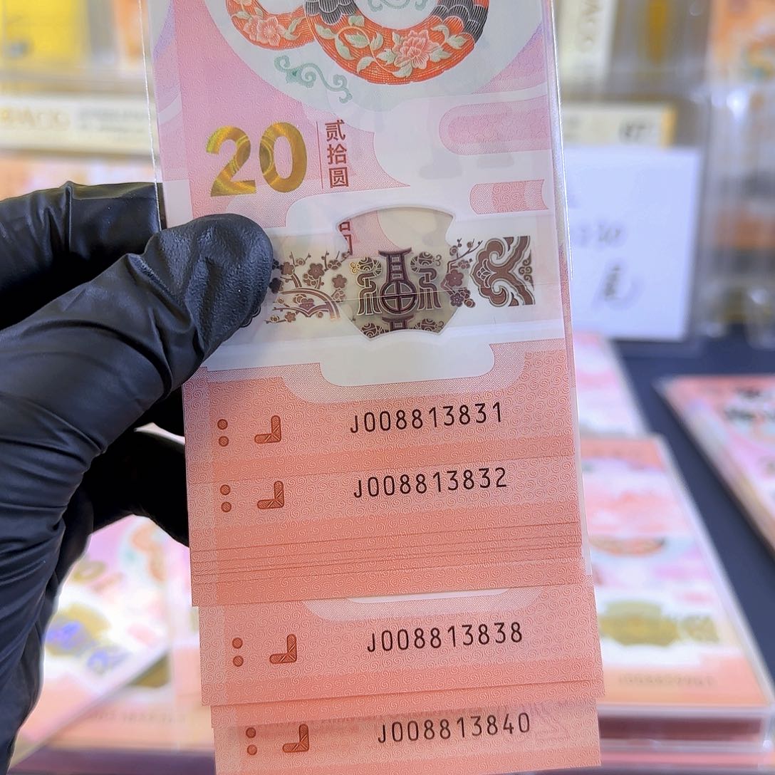 塑料生肖蛇倒影008813831-40标十