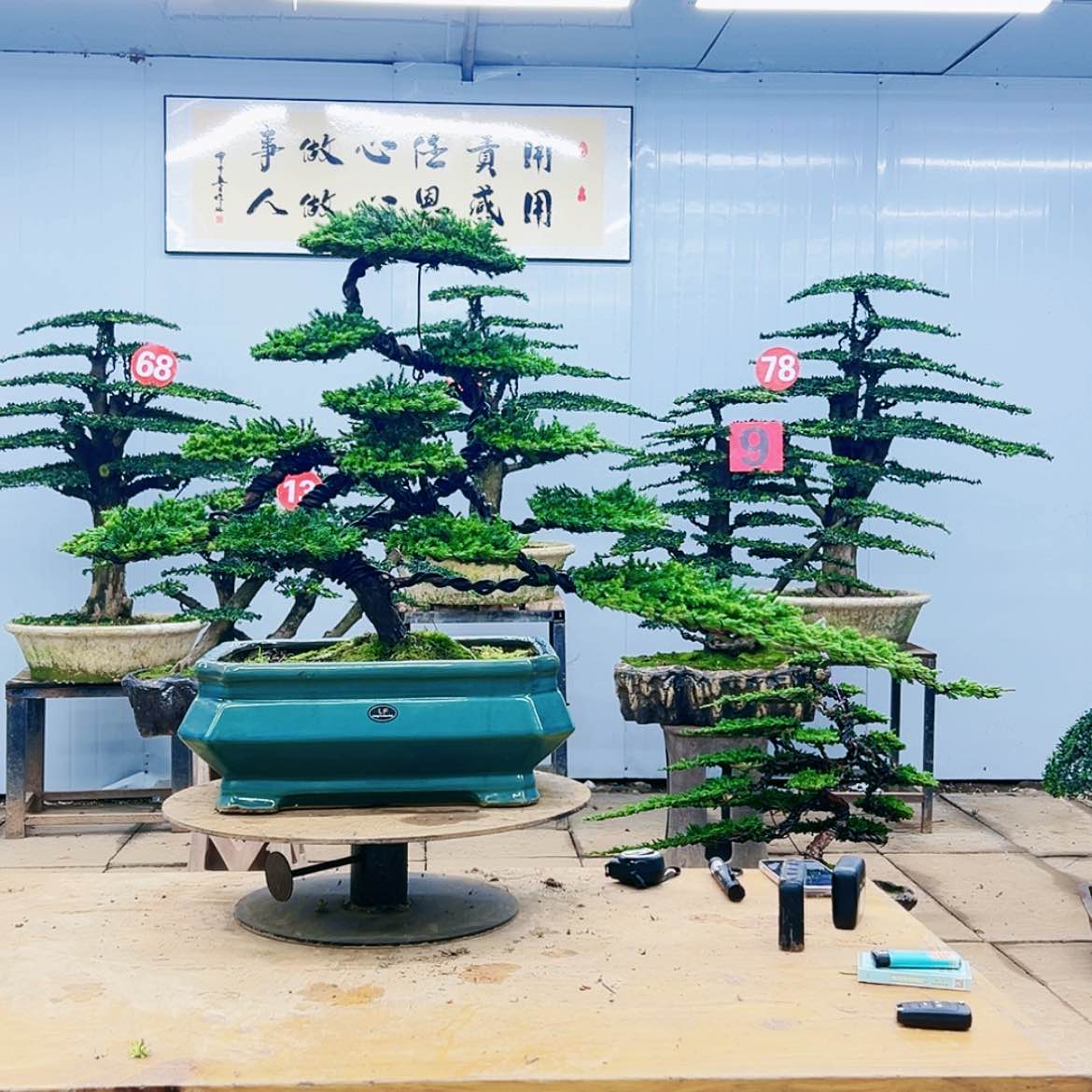 【闪购商品】000000000000