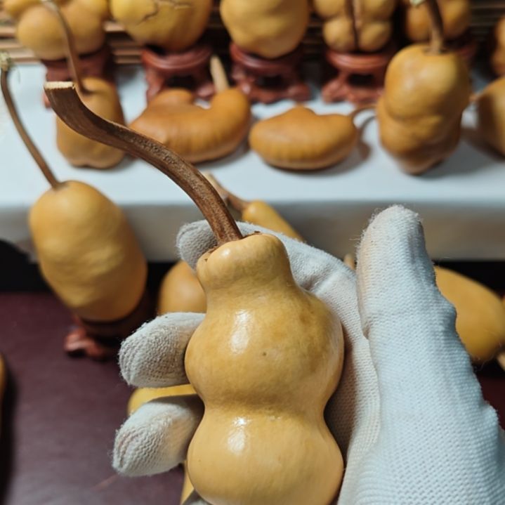 观***雨精品土豆葫芦一物一拍
