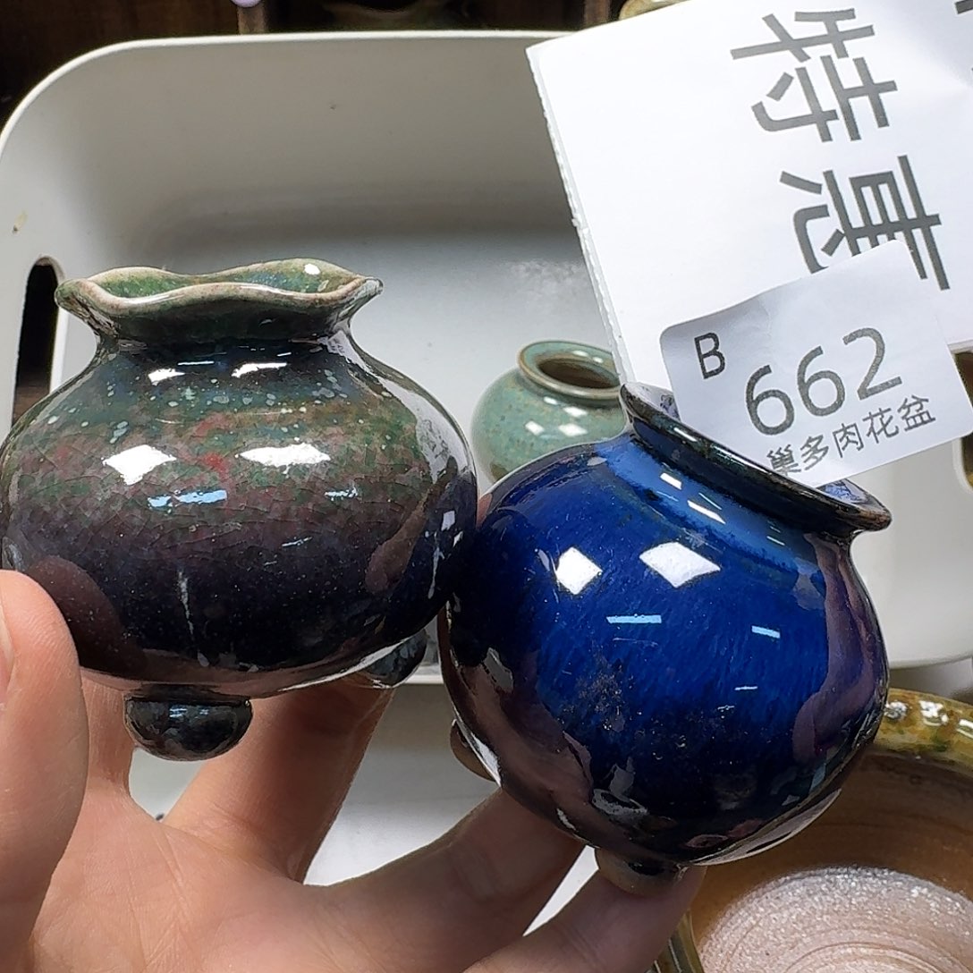 罐陶瓷艺术与陶瓷