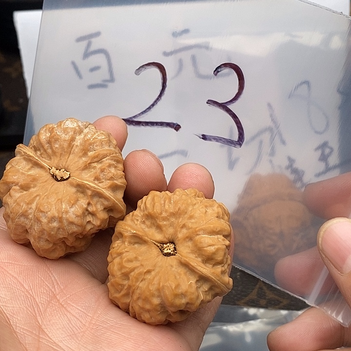 吊坠文玩核桃W36638648649469846468648