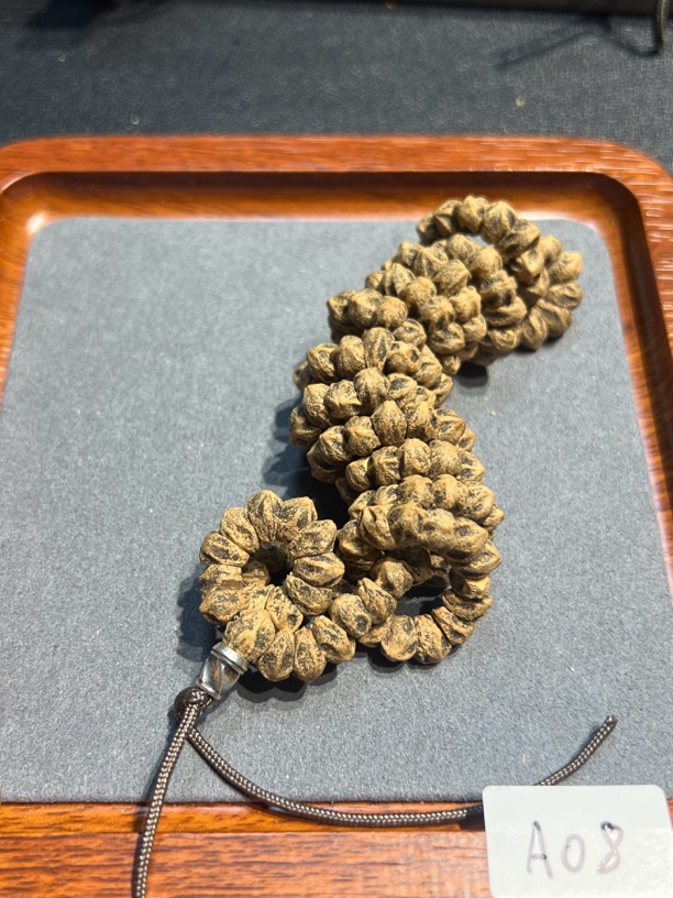 九人百香，【鬼蝶】A08热振百香籽精工鬼蝶肠