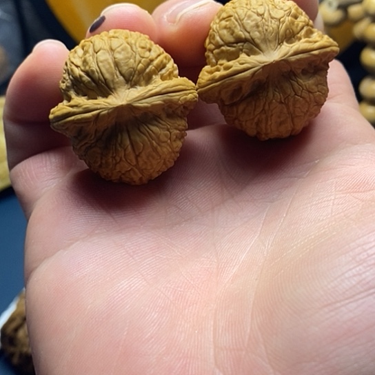 文玩核桃把件35乾隆磨