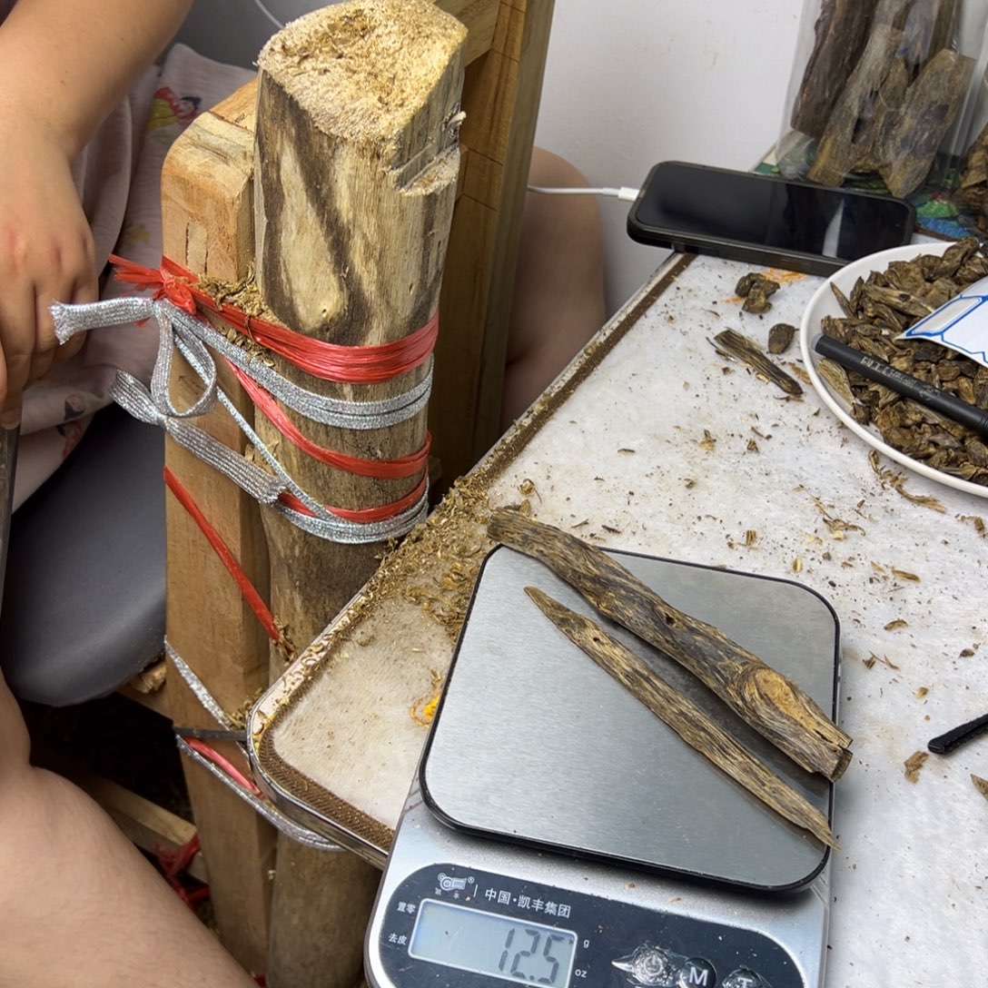 线香奇楠虫漏香12克