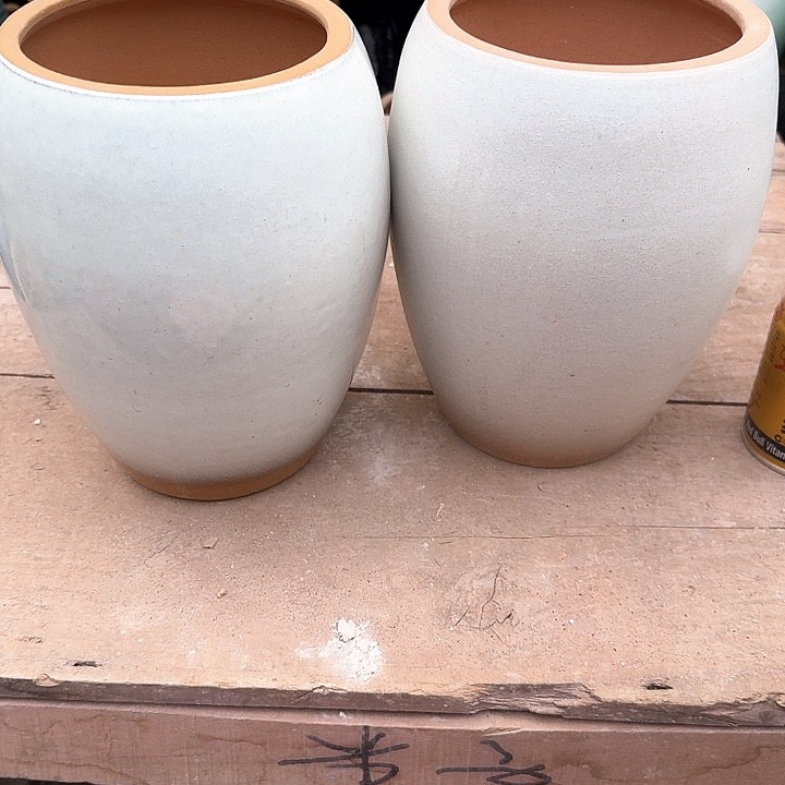 红陶准备好微瑕花盆来咯