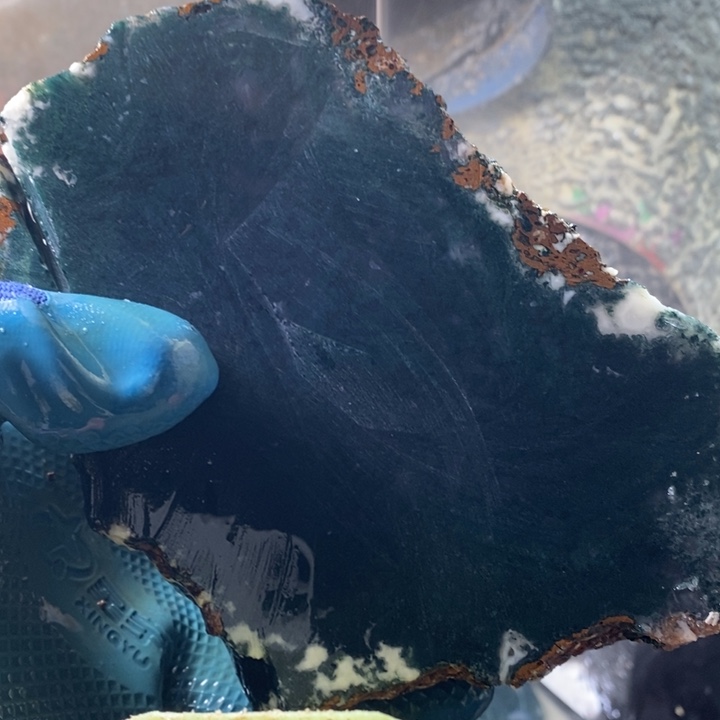 杨***柳定制玛瑙定制玛瑙