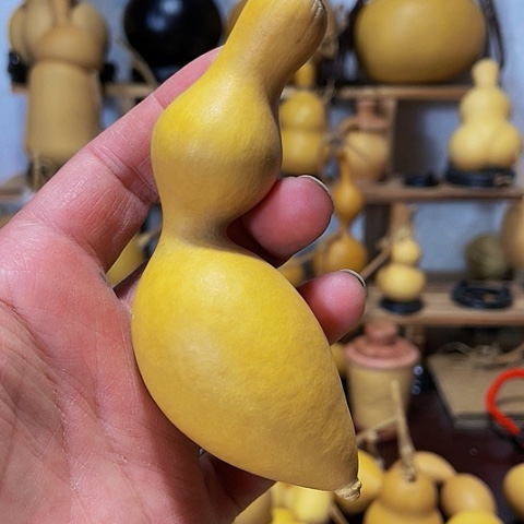 精品厚皮小蚂蚁葫芦