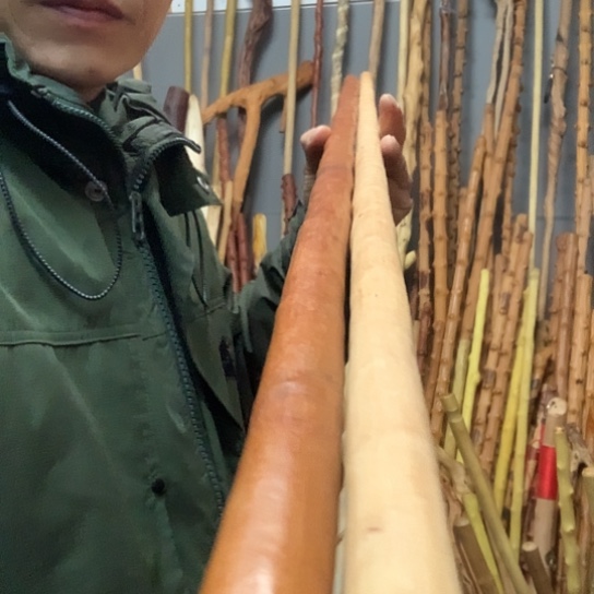 棍***行金刚加红荀子鞭杆两根