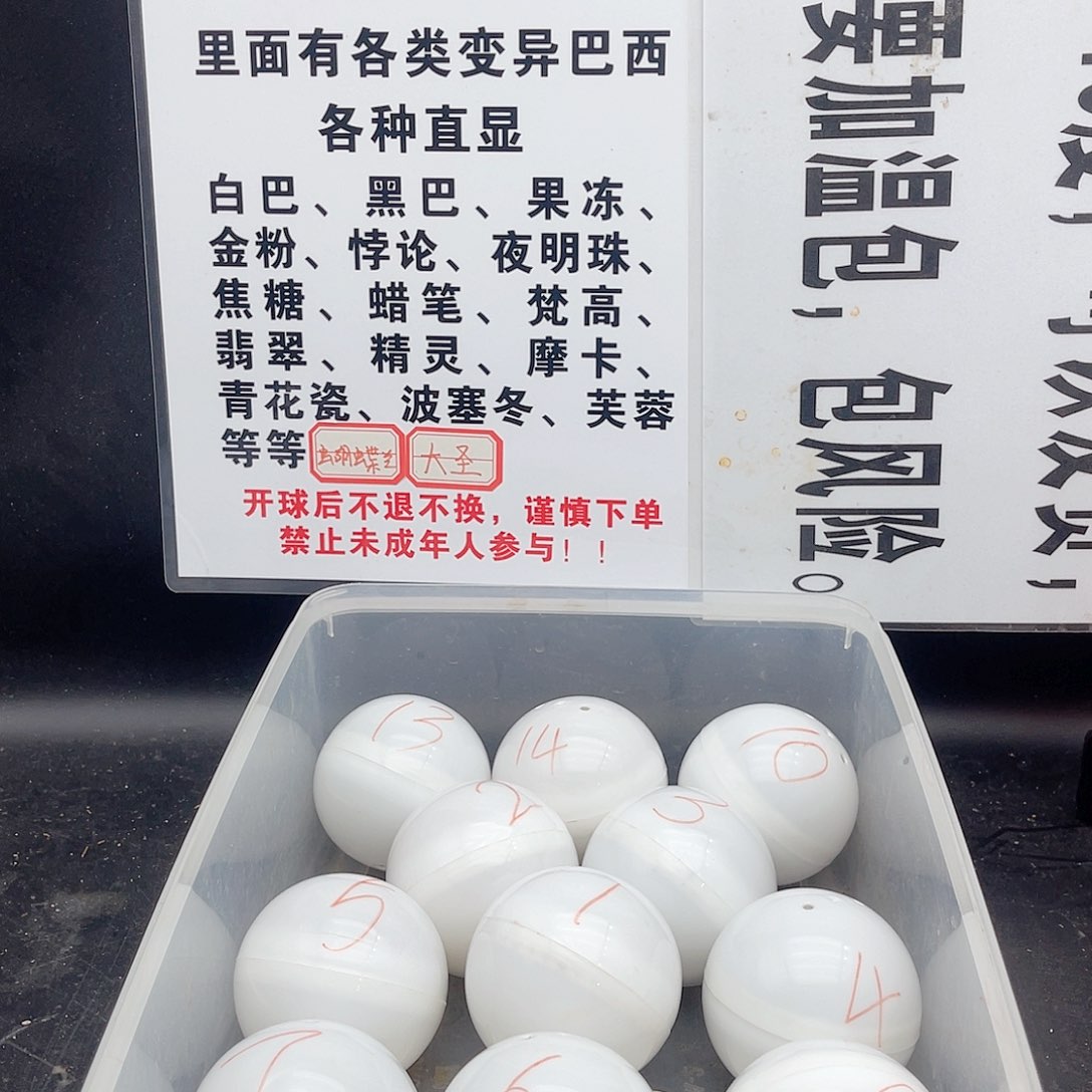 绿毛龟母11111111