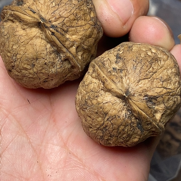 文玩核桃把件志成云铁文玩32