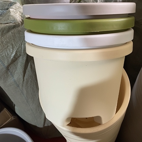 树脂球根26口径5个无托米黄