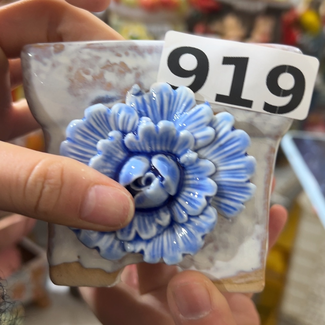 瑕疵919 满20发花盆爱退拉黑