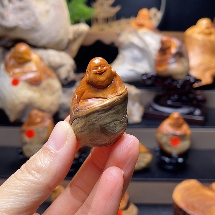 智***哥柏木2222222222222222
