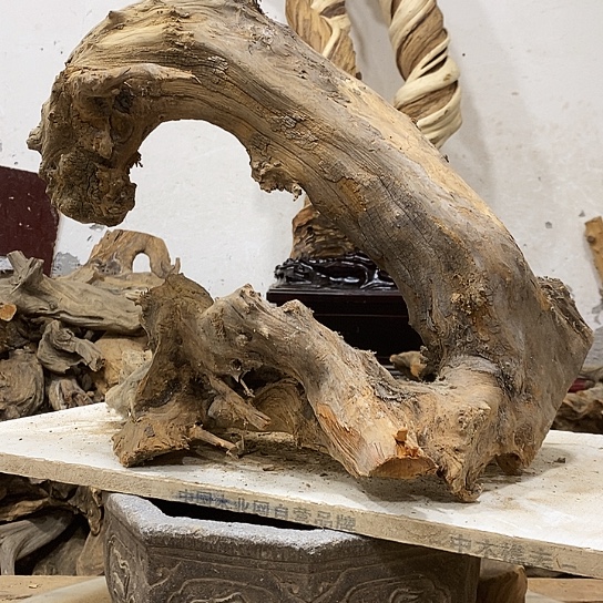 缘***艺柏木我们都是好孩子