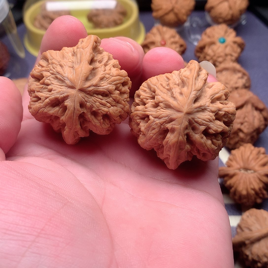 把件文玩核桃大粗筋