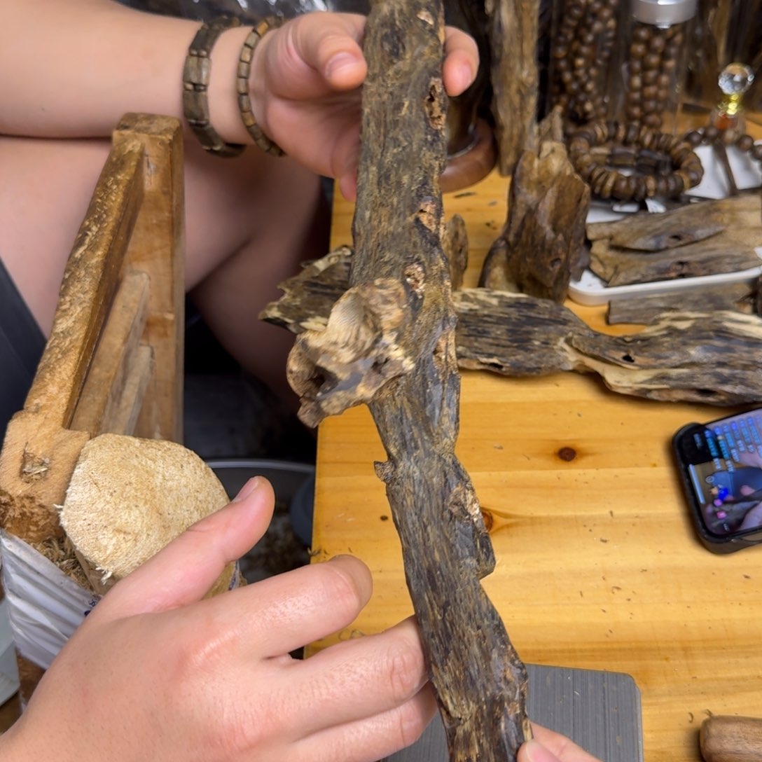 沉香沉香碎屑金沙叶母树品种块料252克