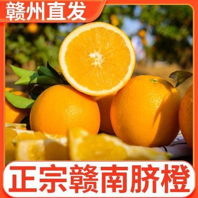【蓝嫂专属】现摘现发江西赣南脐橙产地直发橙子包邮新鲜清甜多汁橙
