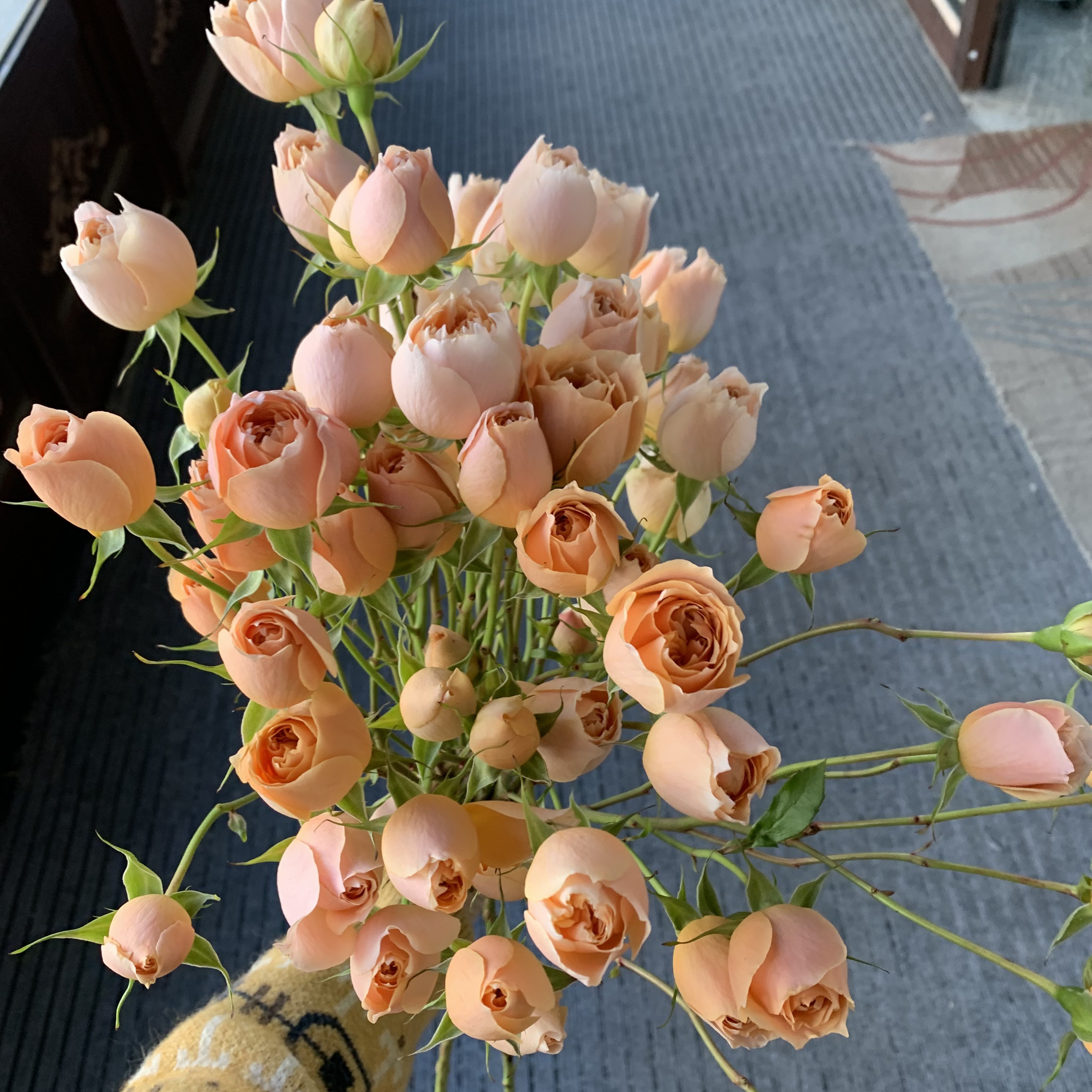 多头杏色拉拉队5支