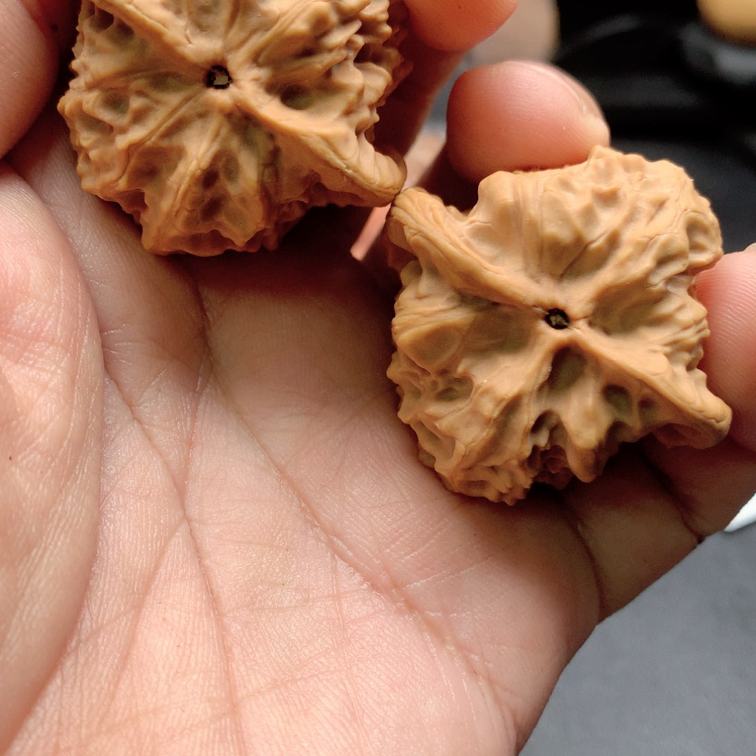 文玩核桃把件三*野狼