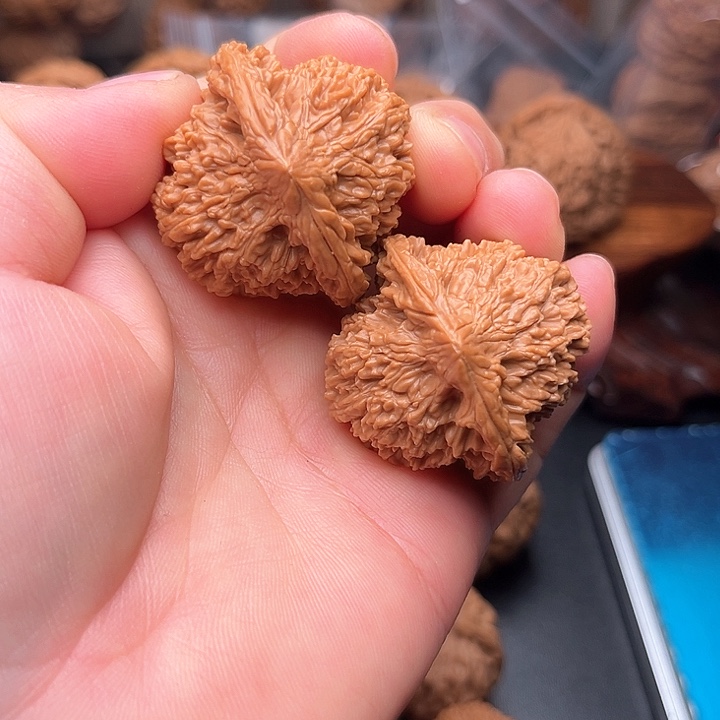 桃核把件核桃满天星