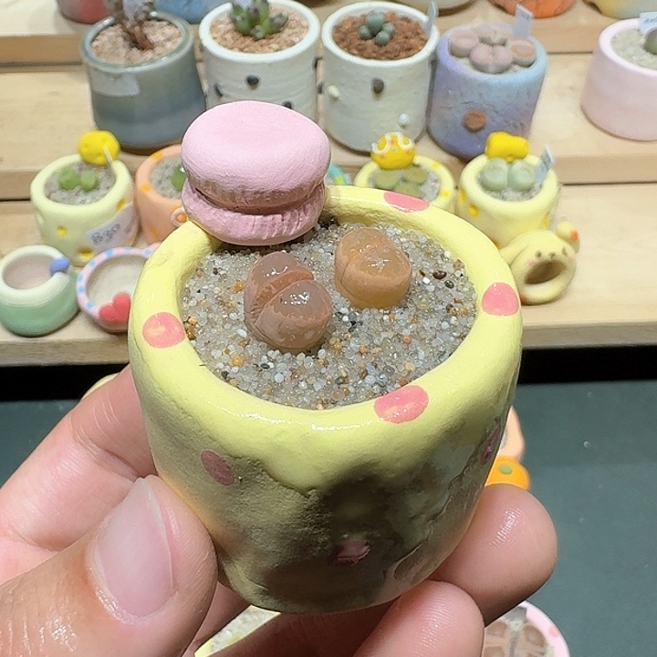 红陶蘑菇281橄榄