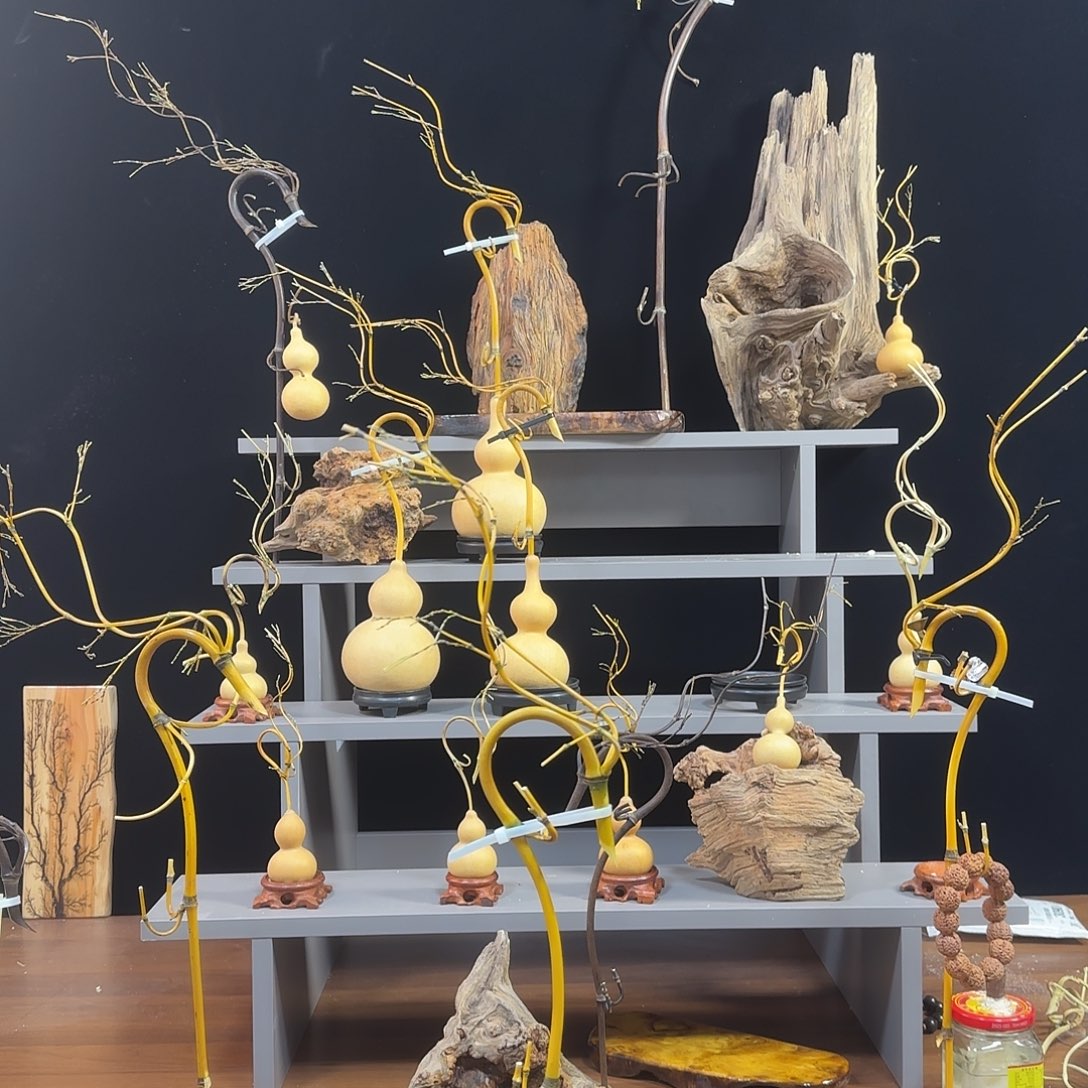 户***者龙挂香的龙挂香中长款