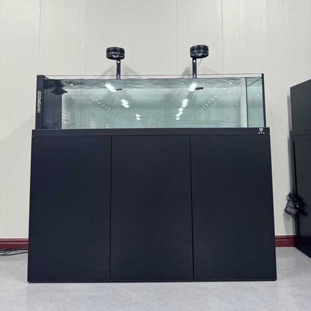 碧中海新款原生溪流缸金鱼兰寿缸