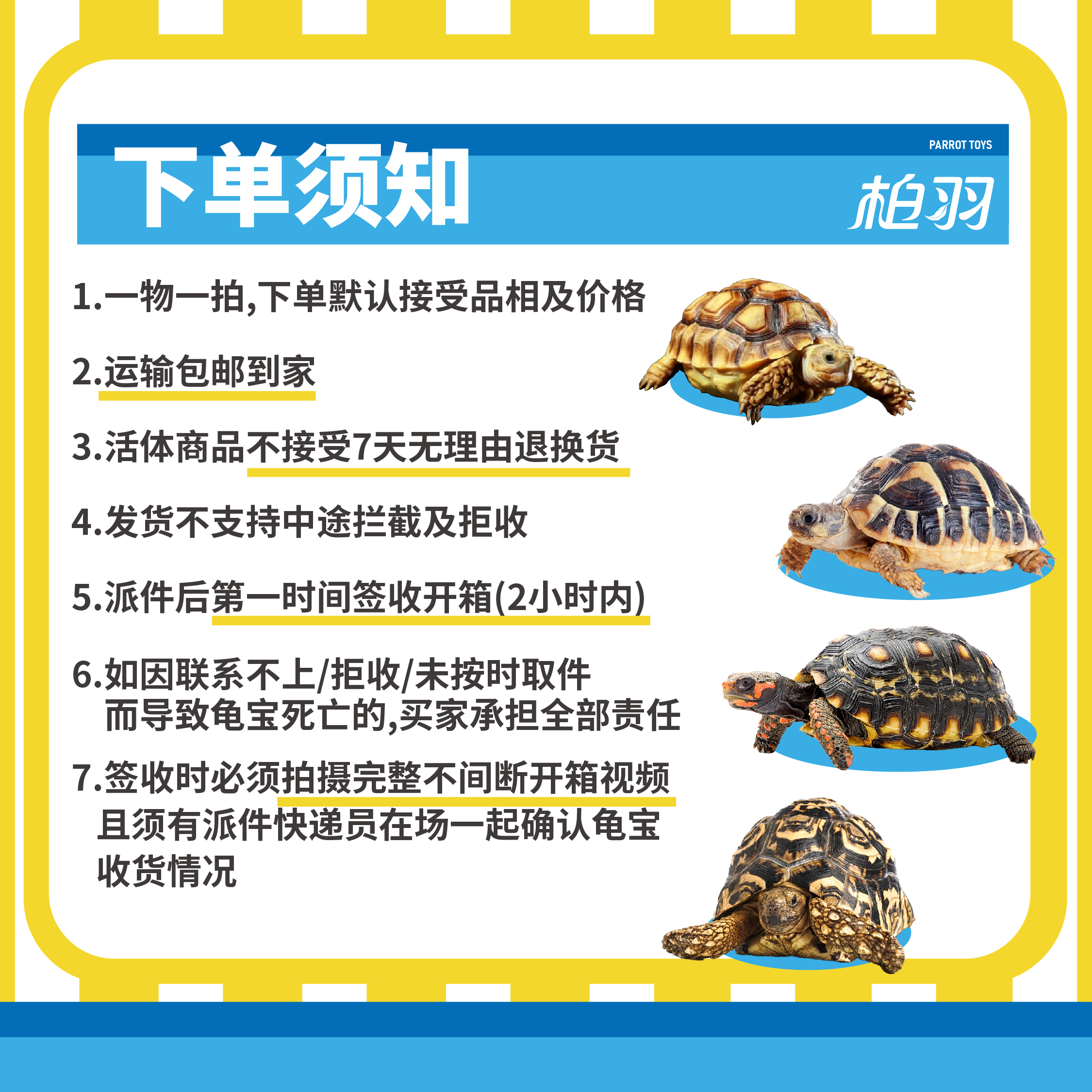 《抖音活动，普豹》人工手养小龟一物一拍