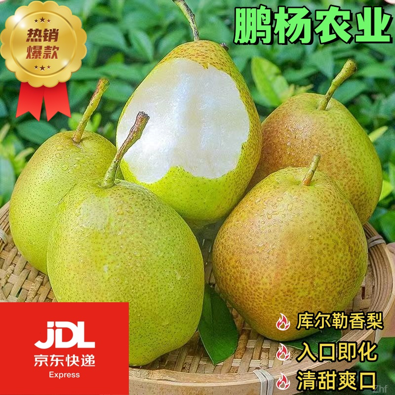 正宗精选新疆库尔勒香梨皮薄脆甜多汁年货礼盒装5斤（京东包邮）