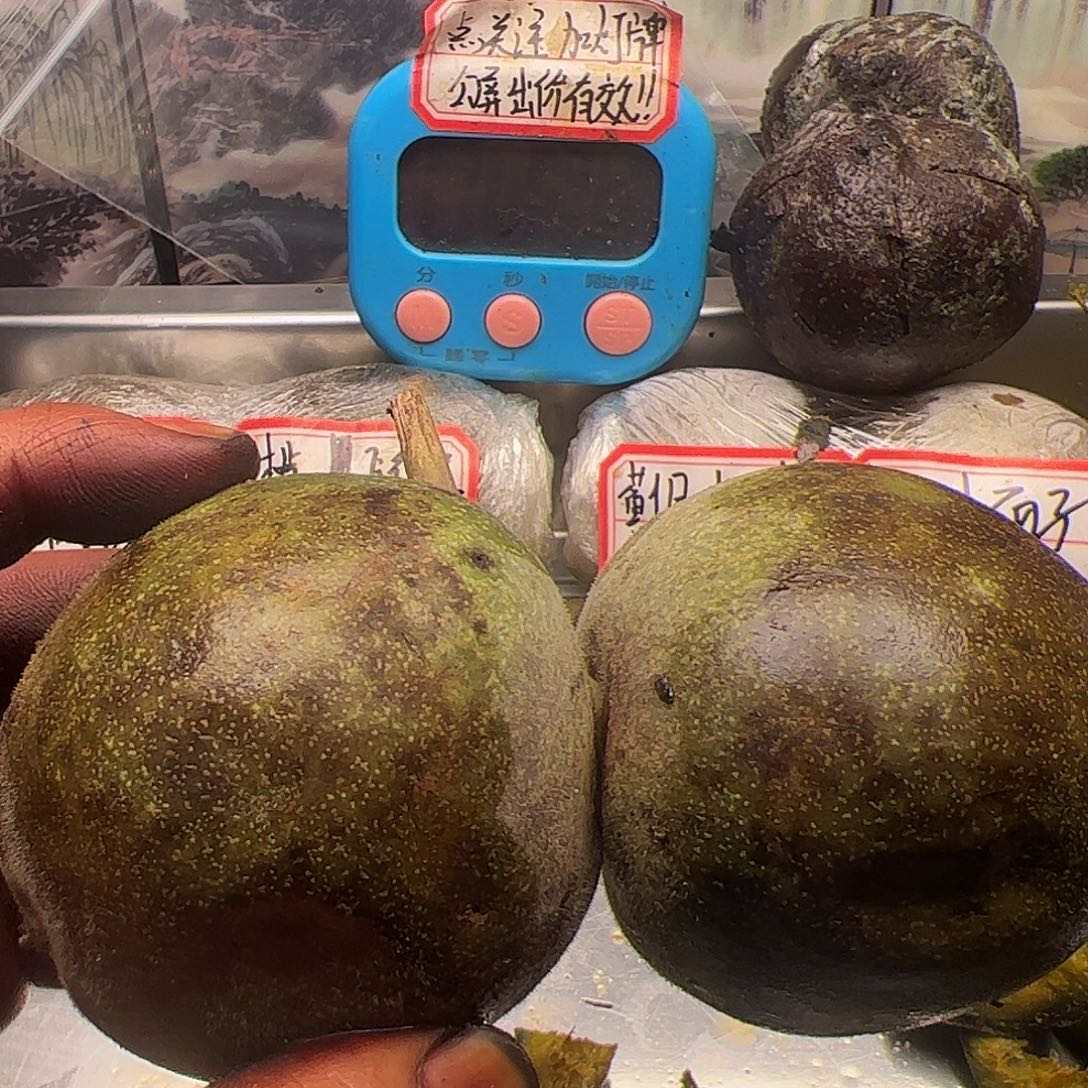 视***技来咯中央音乐学院一下