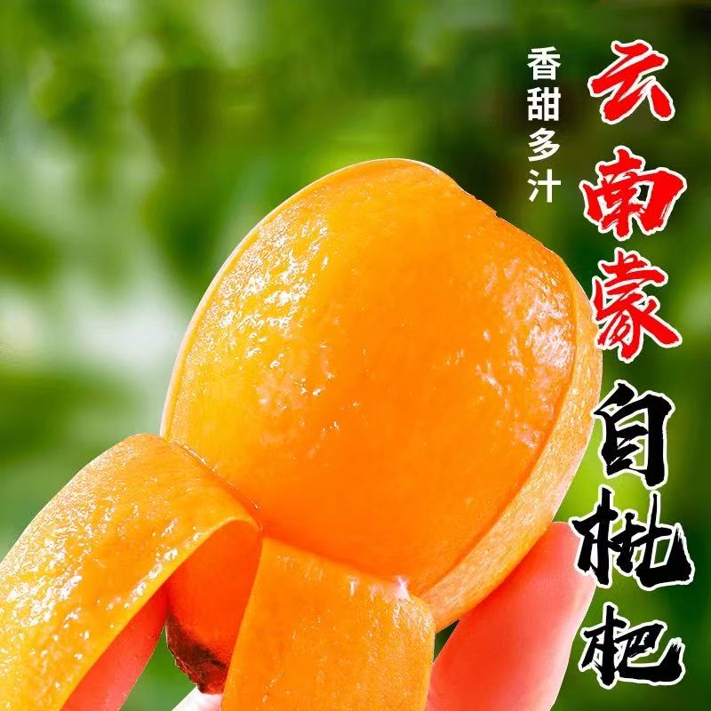 云南蒙自枇杷北京市