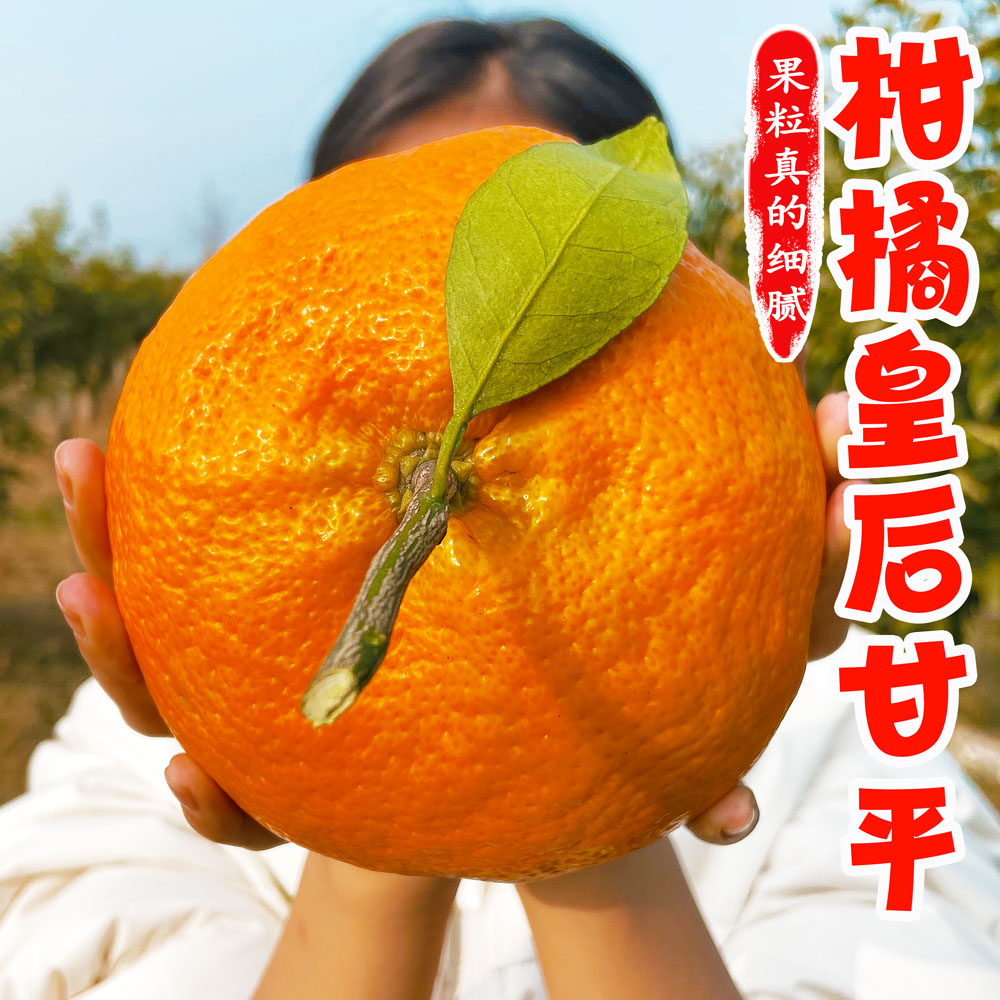 z四川甘平柑橘皇后3/5/8斤新鲜采摘水果香甜皮薄汁个大
