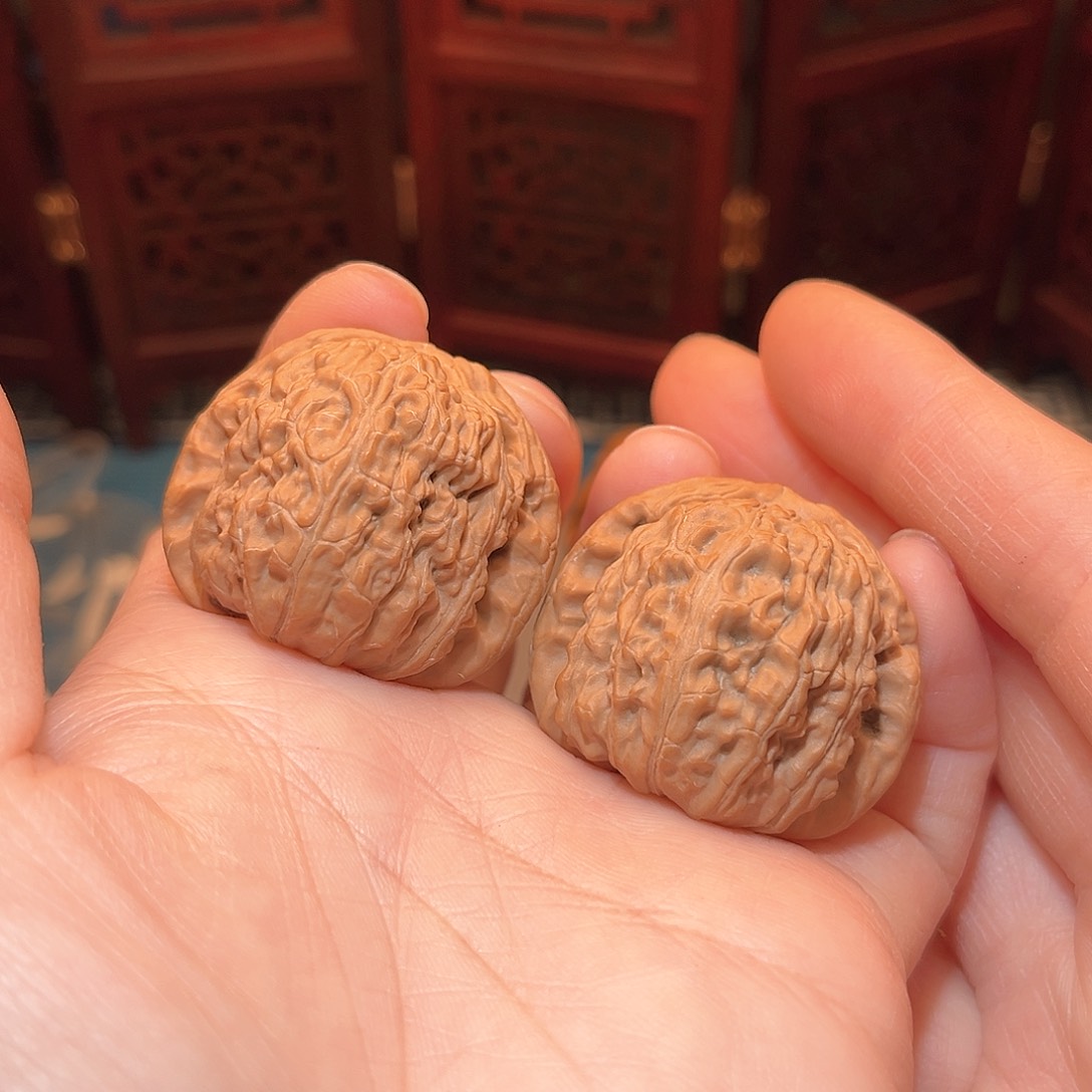 37全品白狮子……福利……