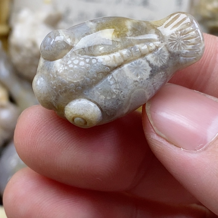 颈饰未镶嵌硅化珊瑚（珊瑚玉）小