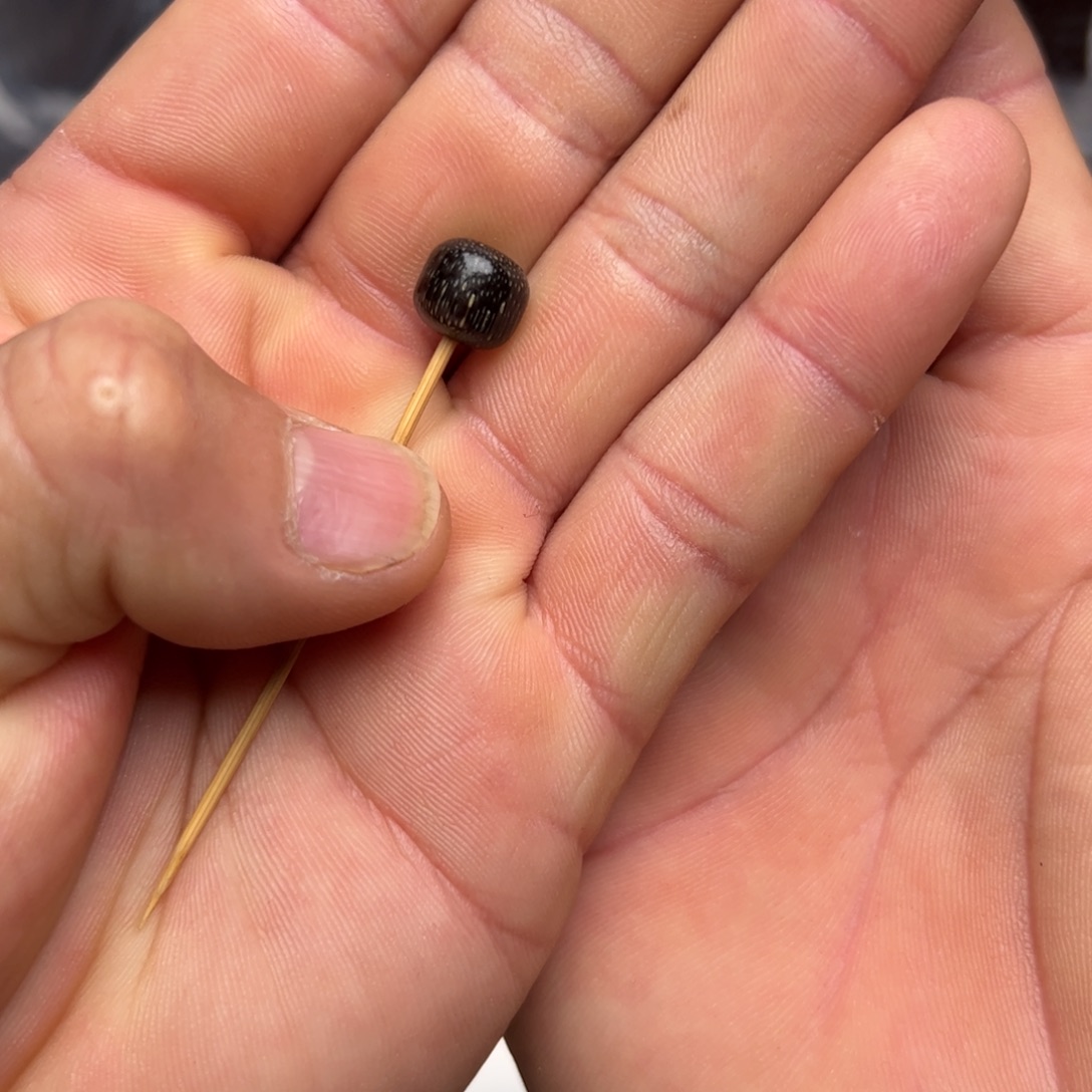 树脂只买单纯的吊坠，没带链子，属的性质。