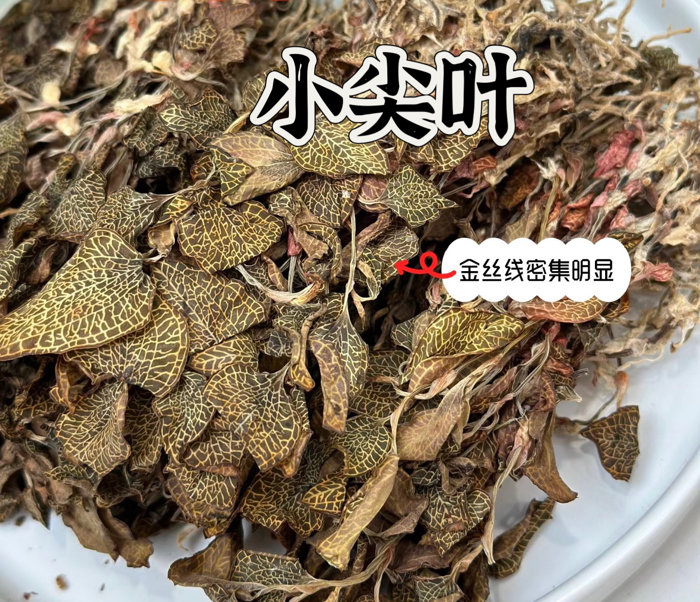 小尖叶种植金线莲干品福建南靖原产地50—500克
