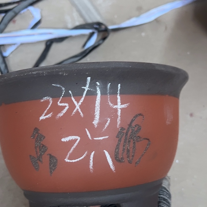 这是事实周三周四  再说再说 