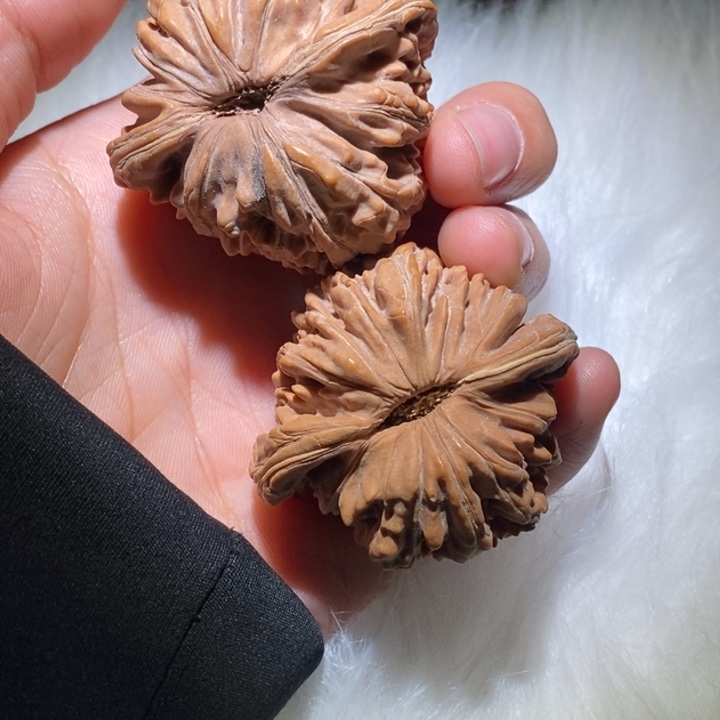 东***就吊坠文玩核桃精品课程等多个专业