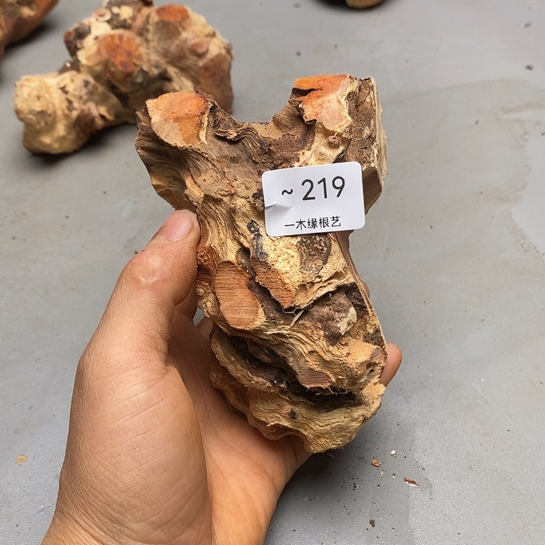 @****无花朵          219