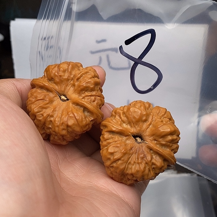 吊坠文玩核桃W86368368446886468468368