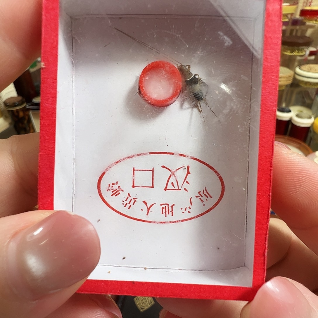 p****水墨仙子一个一只