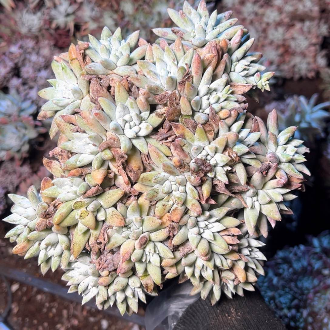 6507哈哈哈哈哈哈哈哈y