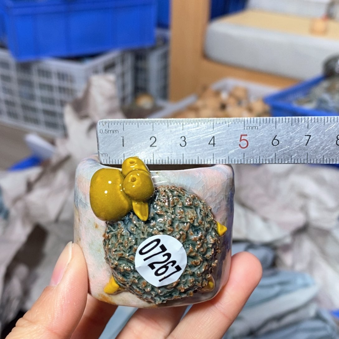 花盆拍3送一个小礼物