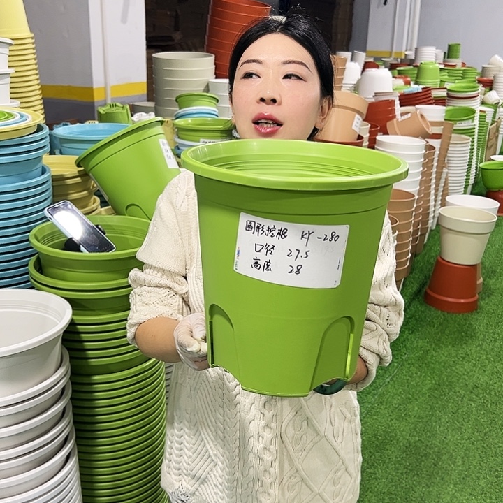 正品圆控口27.5高27.5白色5支无托